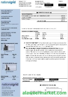USA New York National Grid business utility bill template in Word and PDF formats